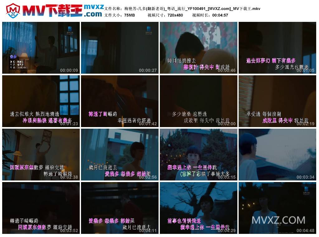 梅艳芳-几多(翻新老哥)_粤语_流行_YF100491